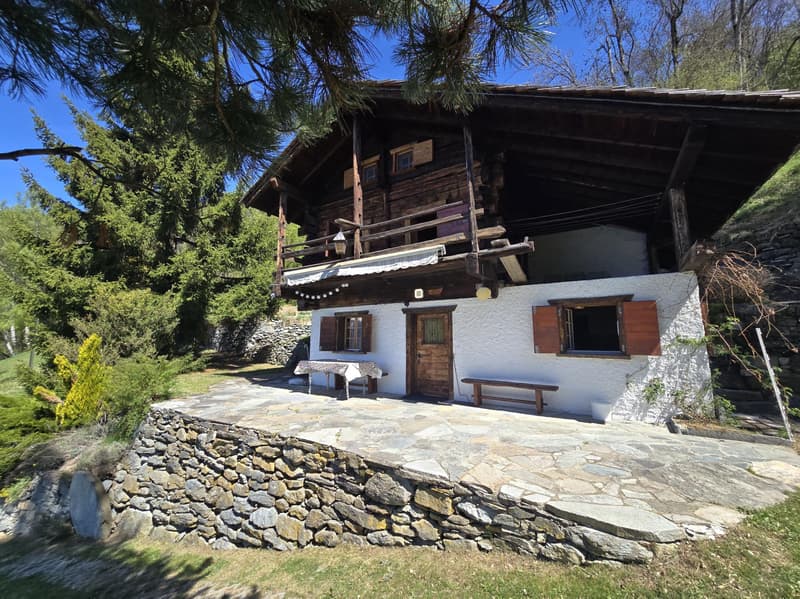 Chalet authentique de 5.5 pces avec mazot, grange et cave à vin sur grand domaine ? Val d'Hérens (3)