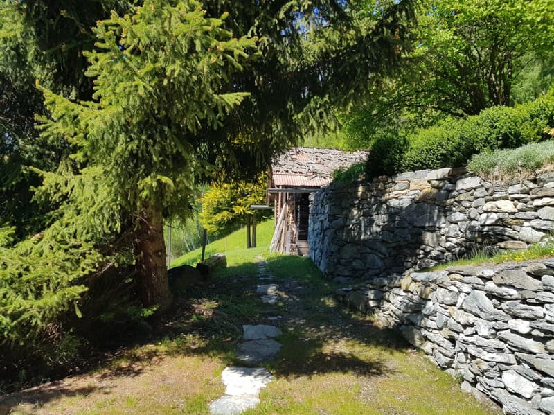 Chalet authentique de 5.5 pces avec mazot, grange et cave à vin sur grand domaine ? Val d'Hérens (11)