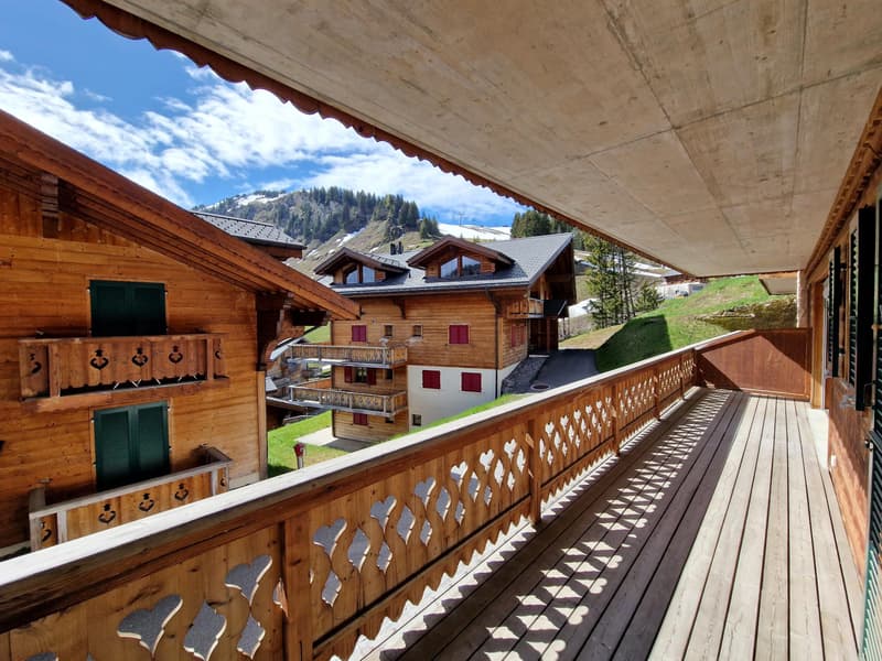 Magnifique appartement ski-in / ski-out au coeur des Crosets, Portes du Soleil (4)