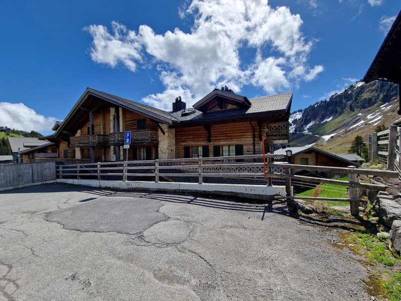 Magnifique appartement ski-in / ski-out au coeur des Crosets, Portes du Soleil (13)