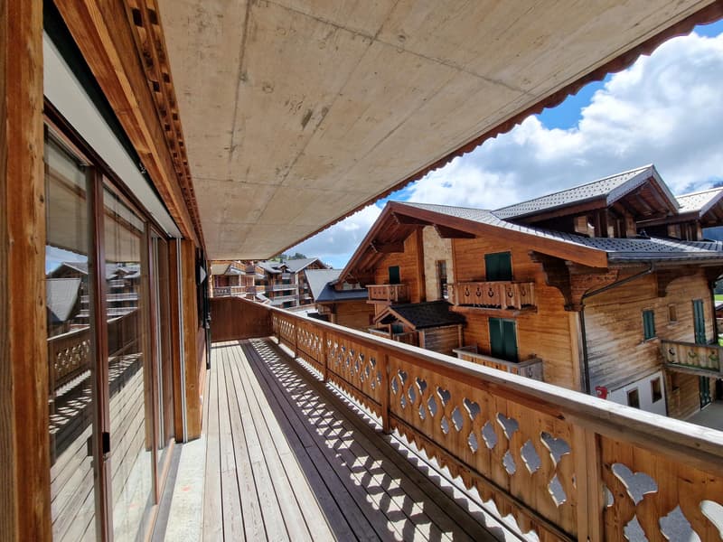 Magnifique appartement ski-in / ski-out au coeur des Crosets, Portes du Soleil (9)
