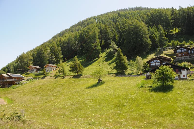 Terrain constructible Isérables (5 minutes de Haute-Nendaz) - Vue panoramique - résidence principale (1)
