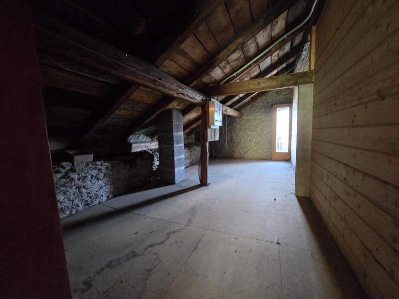 Maison jumelée de 3.5 pces / jardin, carnotzet et Garage Box inclus (9)