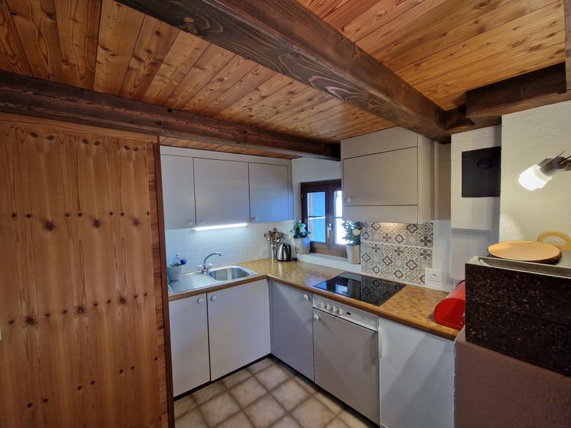 Vente aux étrangers possible - Appartement de charme avec terrasse et vue panoramique sur les Alpes (8)