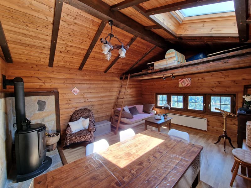 Vente aux étrangers possible - Appartement de charme avec terrasse et vue panoramique sur les Alpes (3)
