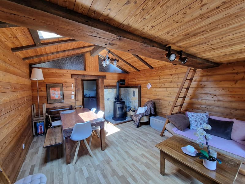 Vente aux étrangers possible - Appartement de charme avec terrasse et vue panoramique sur les Alpes (4)