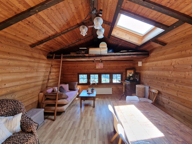 Vente aux étrangers possible - Appartement de charme avec terrasse et vue panoramique sur les Alpes (2)