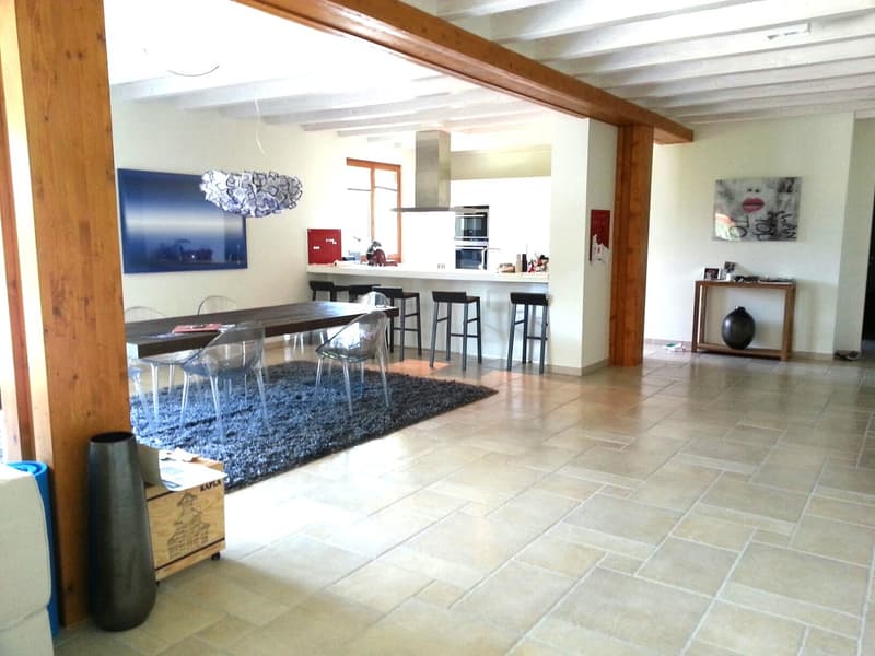 Spacieux appartement de 6 pièces à Cartigny (1)