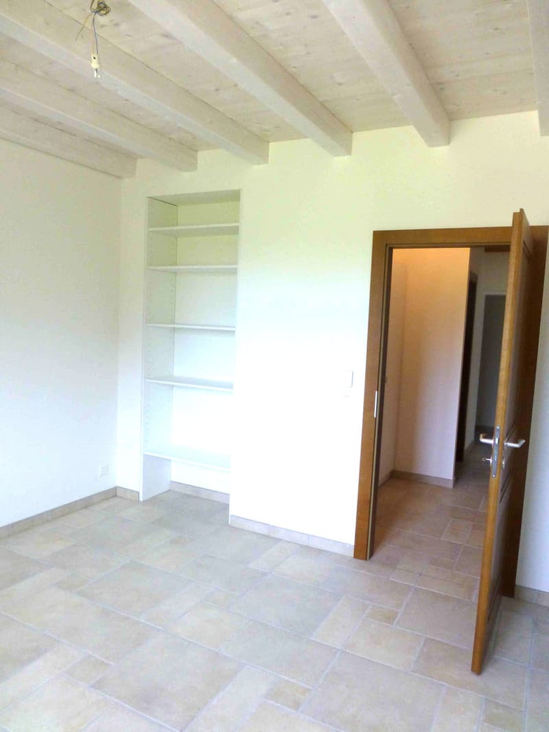 Spacieux appartement de 6 pièces à Cartigny (4)
