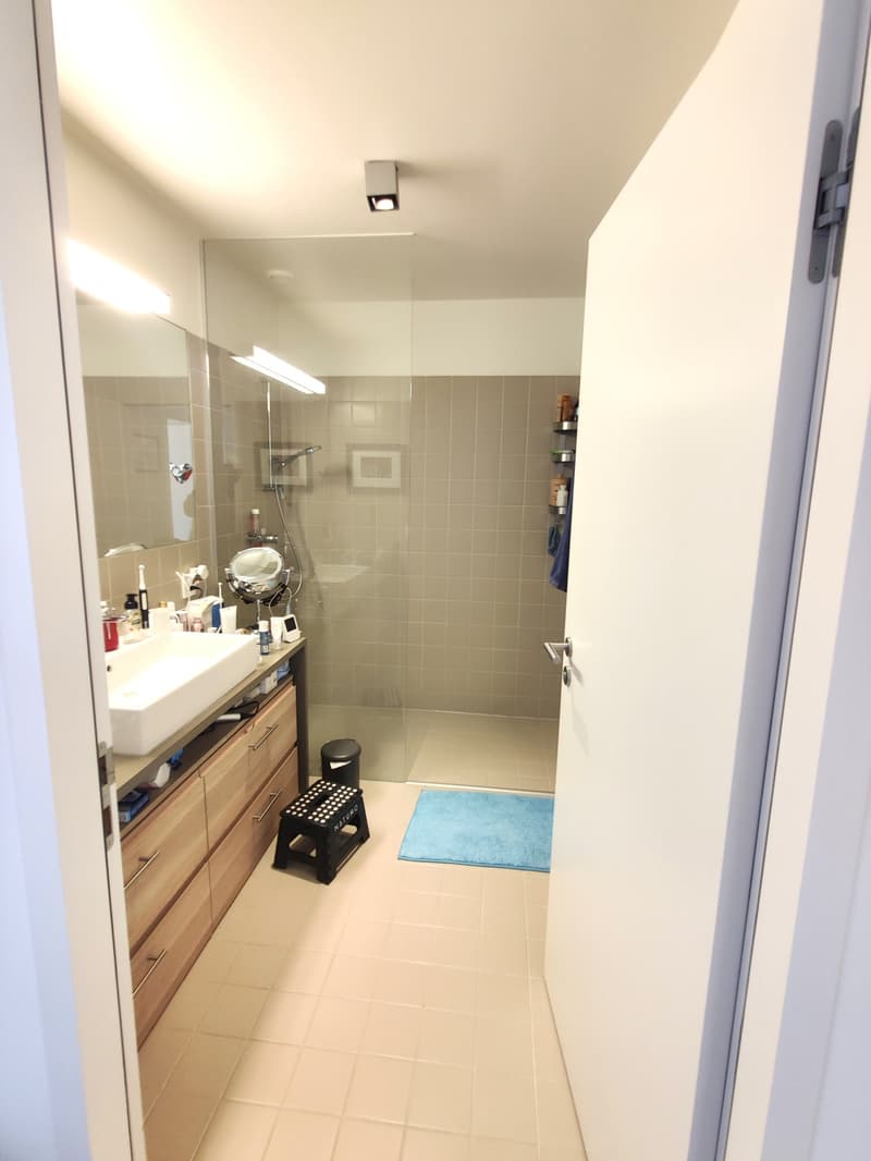 Spacieuse maison de 6.5 pièces à Troinex (4)