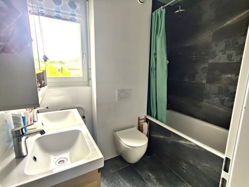 Bel appartement de 5.5 pièces à Aire-la-Ville (5)