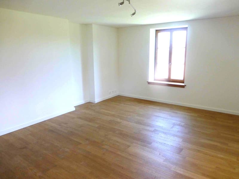 Magnifique appartement traversant de 6 pièces à Cartigny. (4)