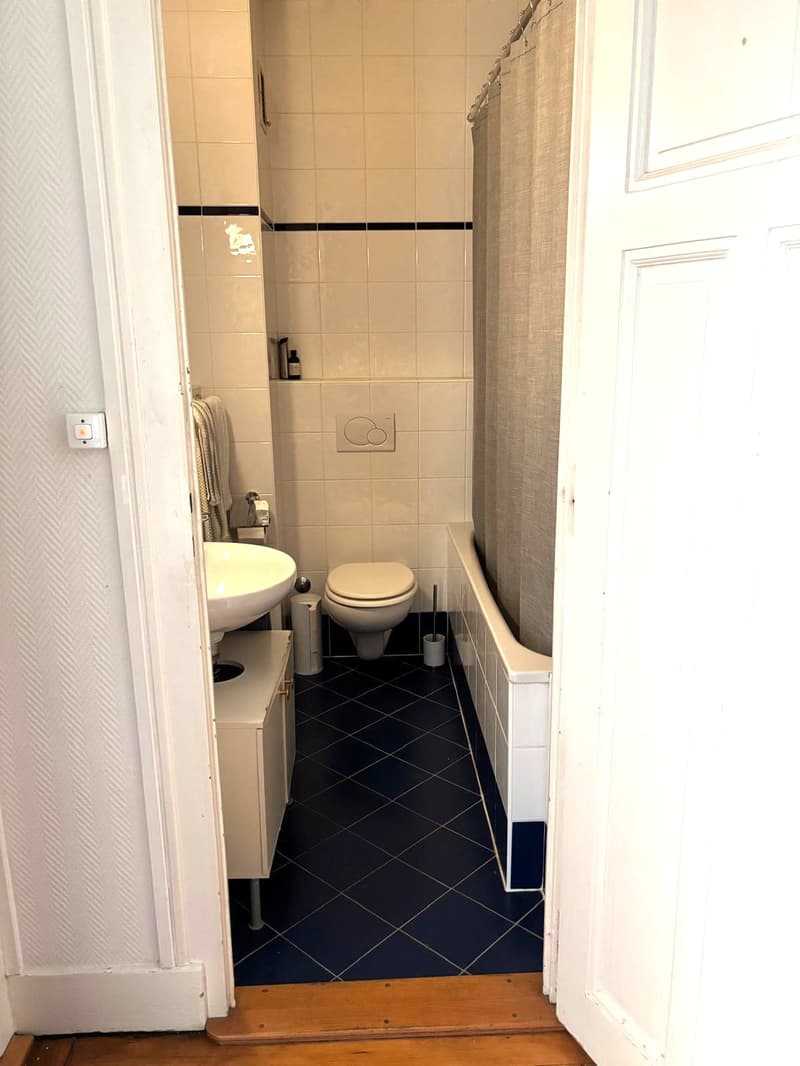 Charmant appartement de 3 pièces avec balcon. (8)