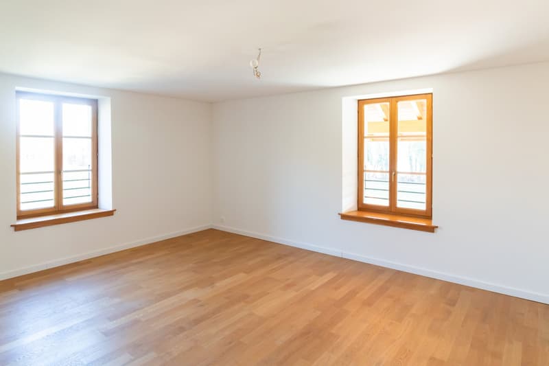 Magnifique appartement traversant de 6 pièces à Cartigny. (4)