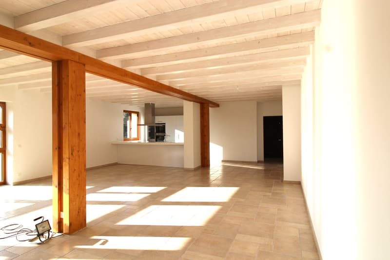Magnifique appartement traversant de 6 pièces à Cartigny. (2)