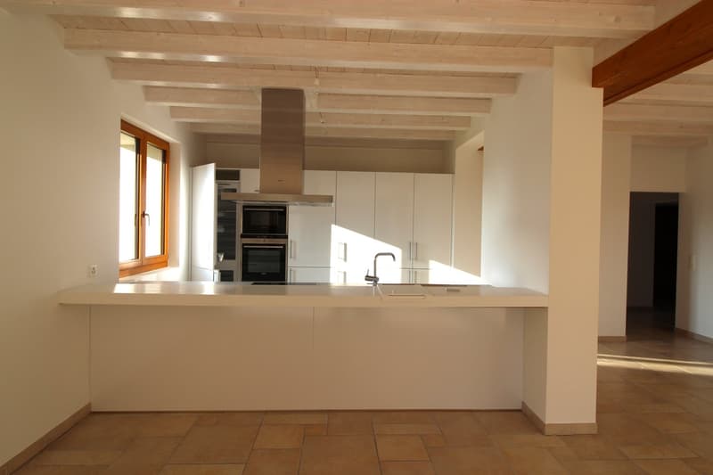Magnifique appartement traversant de 6 pièces à Cartigny. (3)
