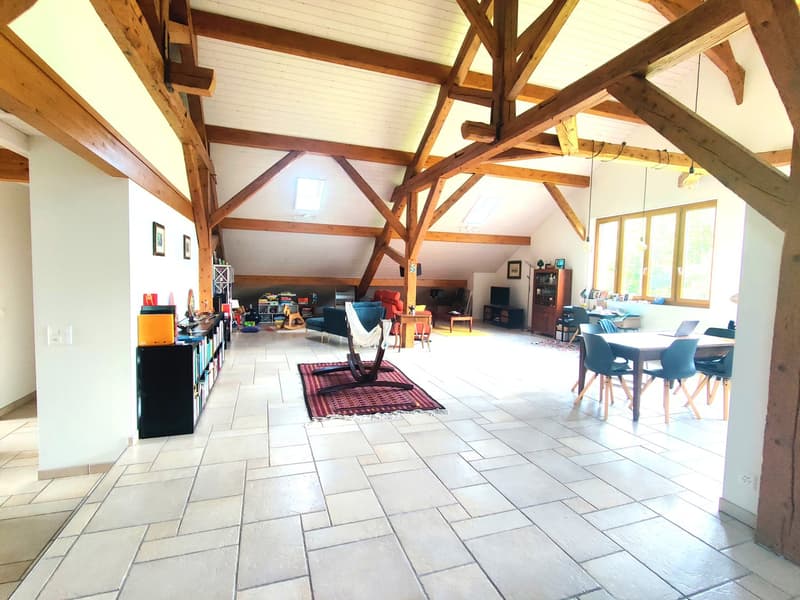 Charmant appartement de 6 pièces au dernier étage d'une ferme rénovée (2)