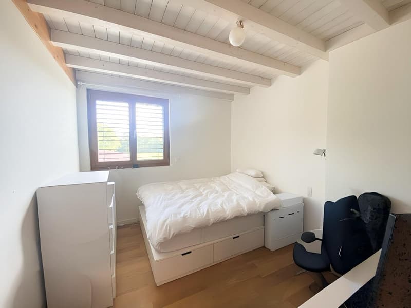 Charmant appartement de 6 pièces au dernier étage d'une ferme rénovée (6)