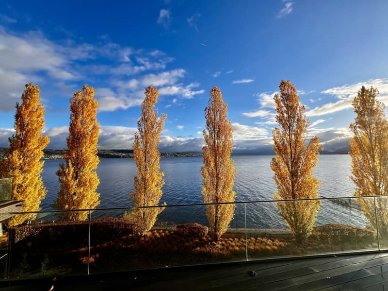 Peninsula Beach House - Luxus pur am Zürichsee (2)