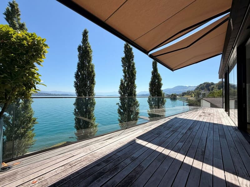 Maison de plage de la péninsule - Luxe pur au lac de Zurich (1)