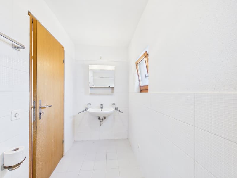 white tiles, wooden door, sink, mirror, light switch, toilet paper holder