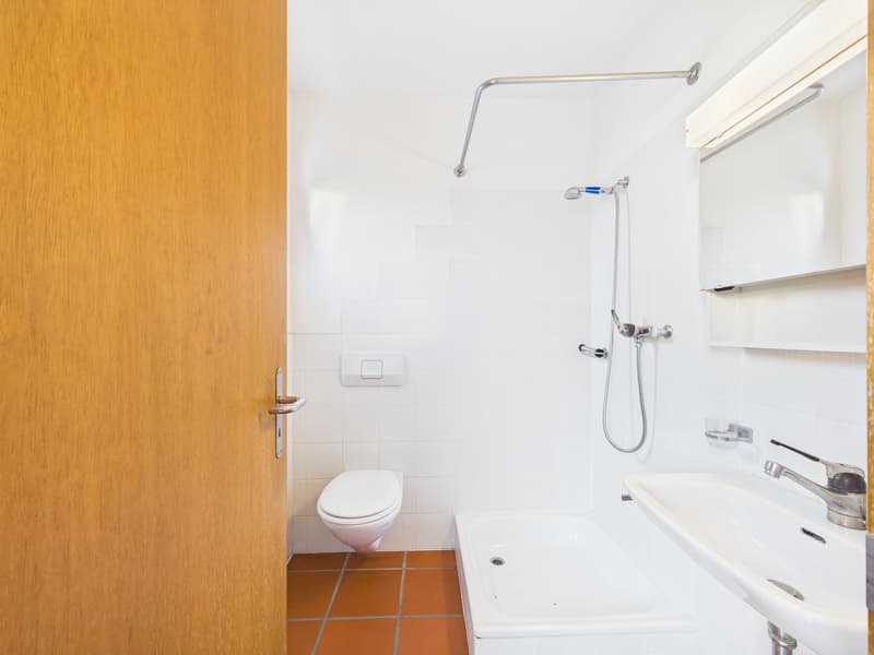 White tiles, wooden floor, white toilet, white sink, shower with handheld head