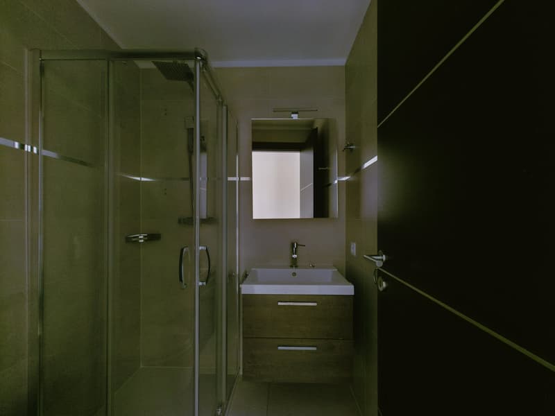 AMPIO E LUMINOSO APPARTAMENTO DI 4,5 LOCALI IN RESIDENZA SIGNORILE (17)