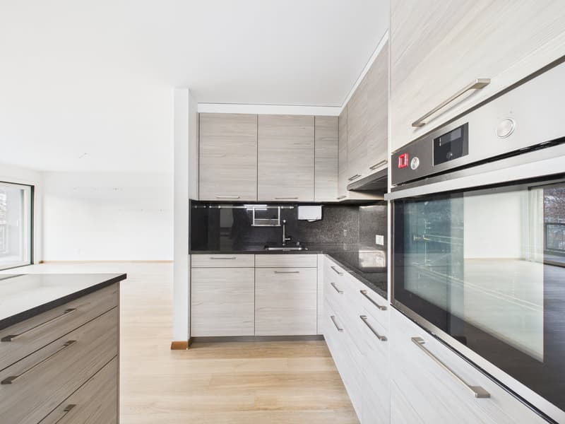 AMPIO E LUMINOSO APPARTAMENTO DI 4,5 LOCALI IN RESIDENZA SIGNORILE (7)