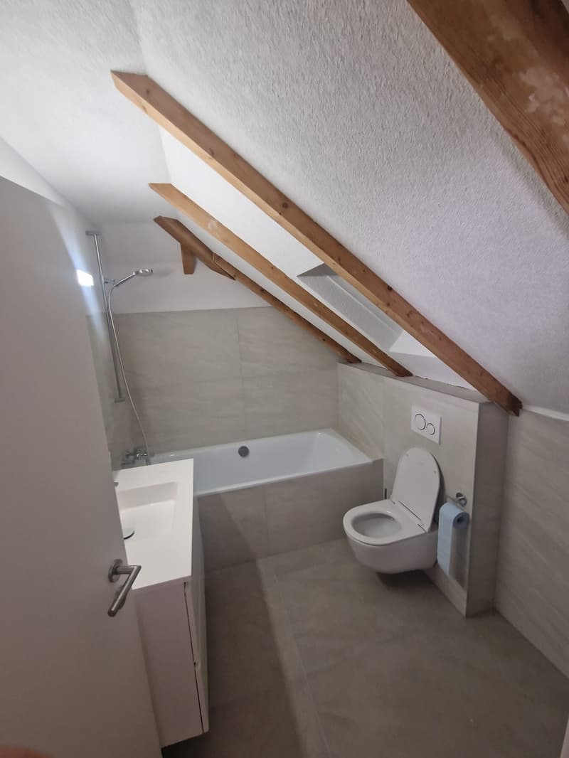 Bathroom: shower, bathtub, toilet, sink, wooden beams, skylight, tiles
