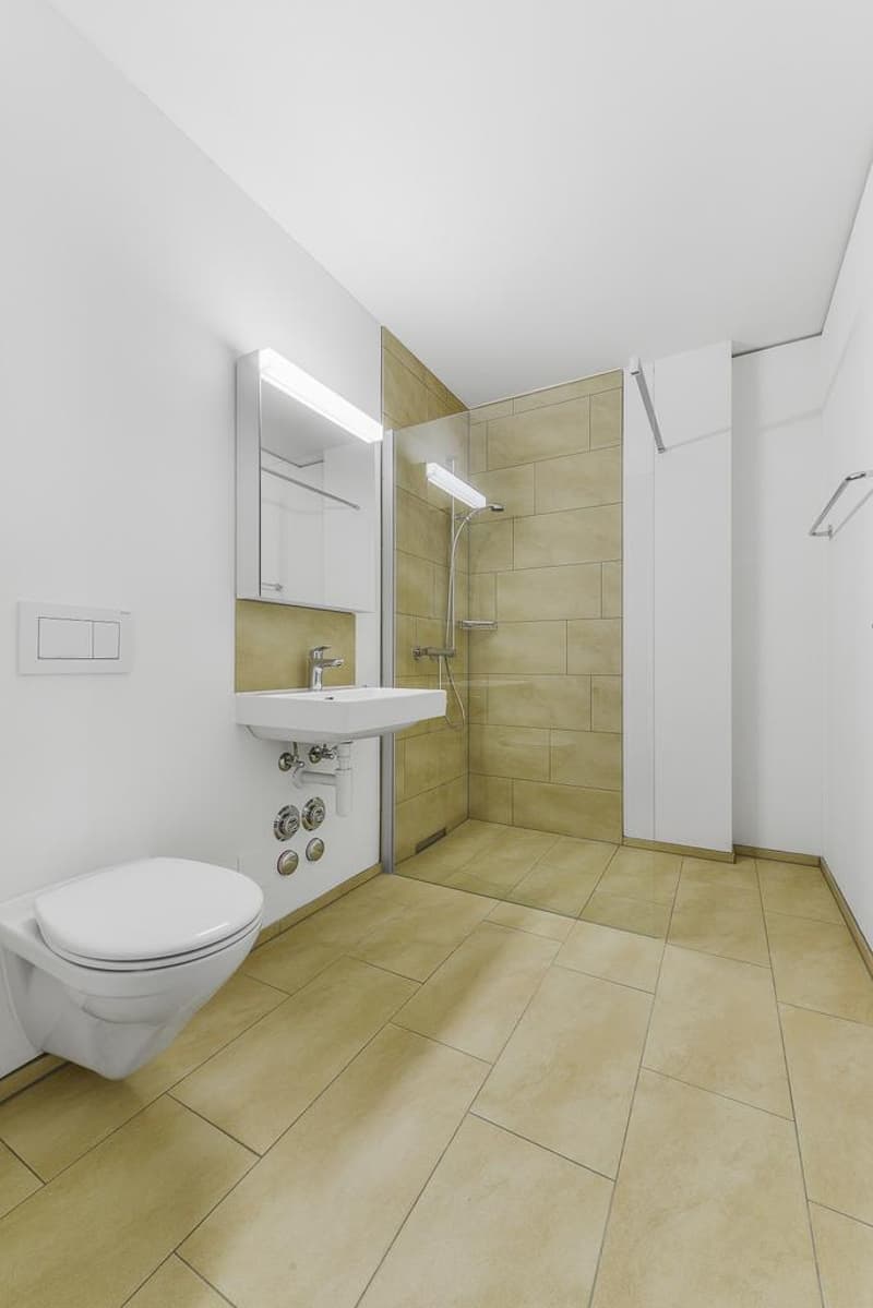 Moderne 2.5-Zimmer-Wohnung (3)