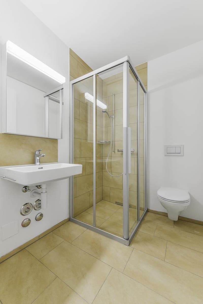 Moderne 4.5-Zimmer-Wohnung (4)