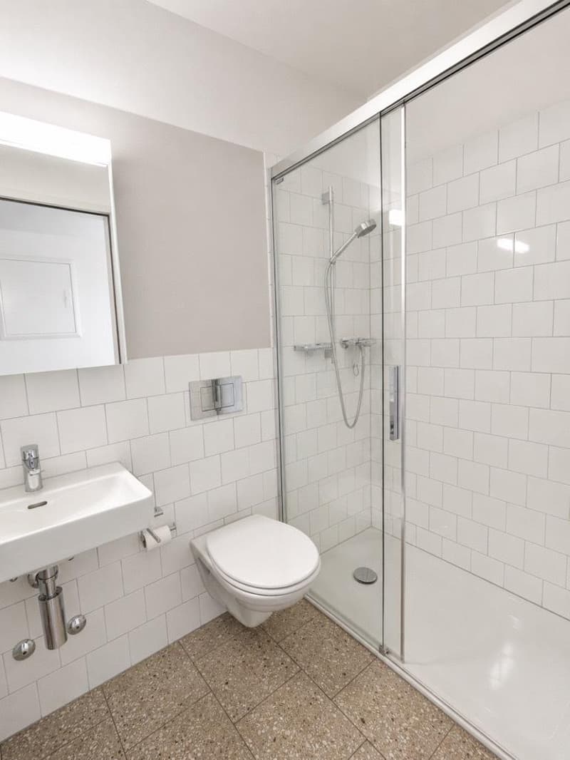 Grosszügige, helle und moderne 1.5-Zimmer-Wohnung (5)