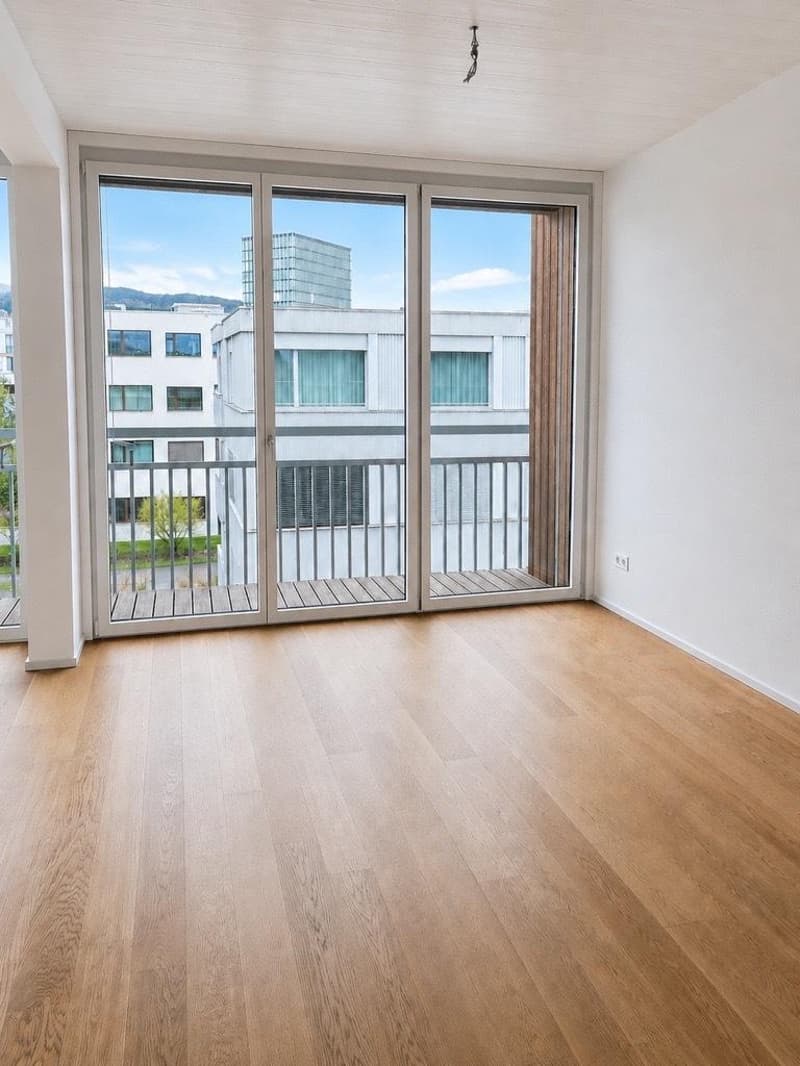 Grosszügige, helle und moderne 1.5-Zimmer-Wohnung (2)