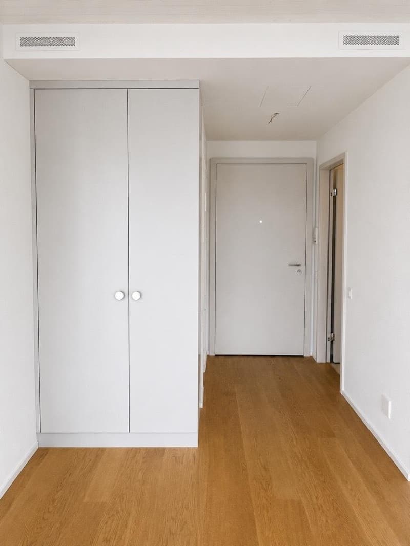 Grosszügige, helle und moderne 1.5-Zimmer-Wohnung (4)