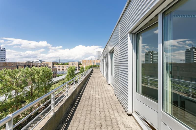 Licht, Raum und Lebensqualität: 6.5 Zimmer Attika-Maisonettewohnung (2)