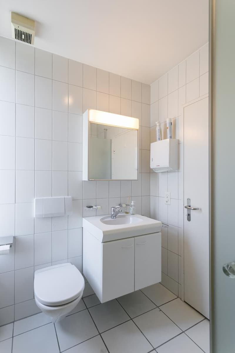 Licht, Raum und Lebensqualität: 6.5 Zimmer Attika-Maisonettewohnung (9)