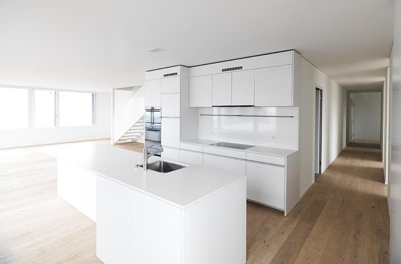3.5 Zimmerwohnung in Risch-Rotkreuz (3)