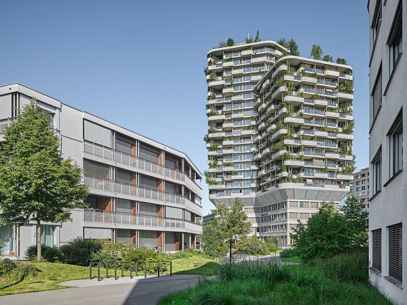 Grosszügige, helle und moderne 1.5-Zimmer-Wohnung (2)