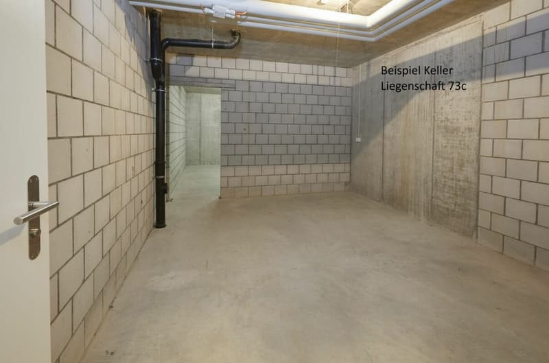 Sonnige 4.5-Zimmerwohnung Balkon 28 m2 (15)