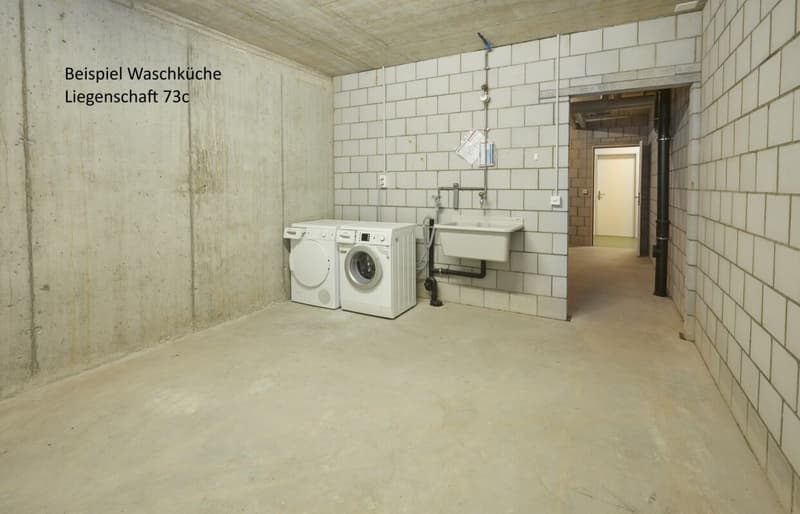 Sonnige 4.5-Zimmerwohnung Balkon 28 m2 (14)