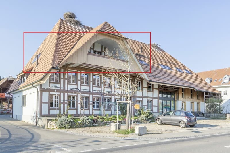 Grosszügige 4.5-Zimmerwohnung (1)