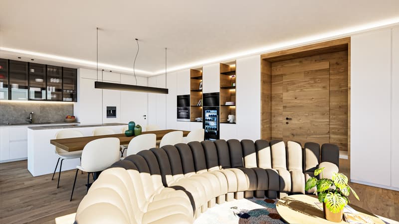 Modern Alpine Retreat (3)