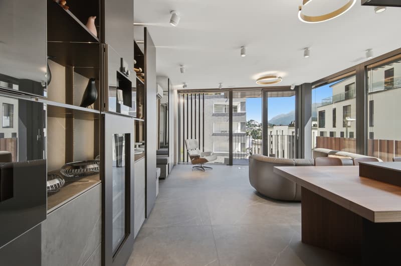 Modern Alpine Retreat (2)