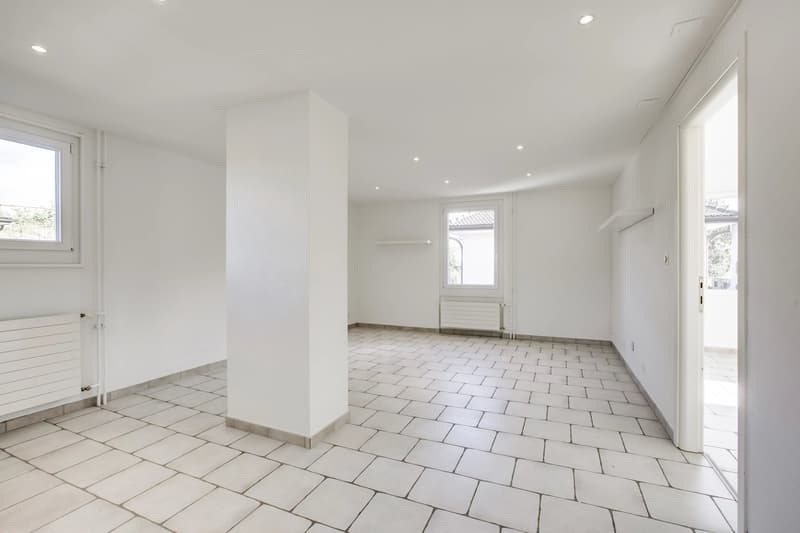 Immeuble de rendement entièrement loué (8)