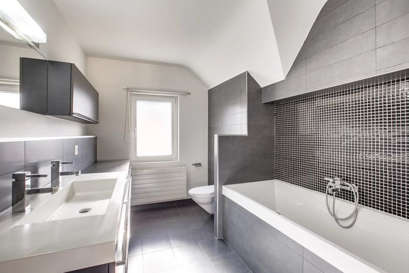 Immeuble de rendement entièrement loué (14)