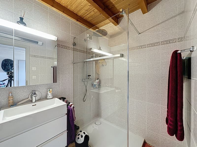 Charmant appartement en attique de 3.5 pièces à Savigny (11)