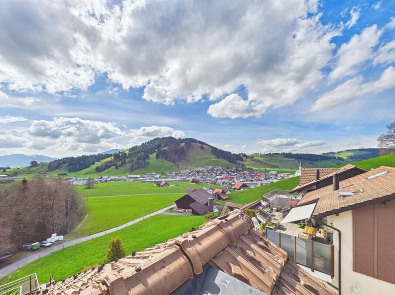 Paradiso soleggiato con 180° di cinema di montagna - appartamento di terrazza di 4,5 locali recentemente ristrutturato (4)