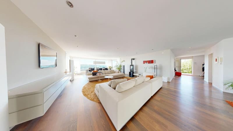 On Top of Wettswil - 252 m² Panorama-Residenz (8)