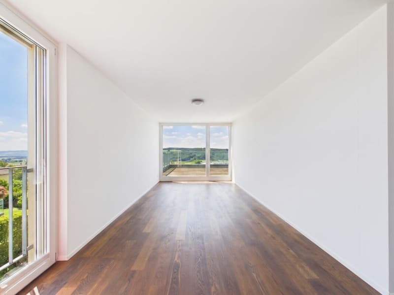On Top of Wettswil - 252 m² Panorama-Residenz (15)