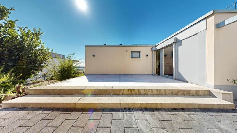 On Top of Wettswil - 252 m² Panorama-Residenz (19)